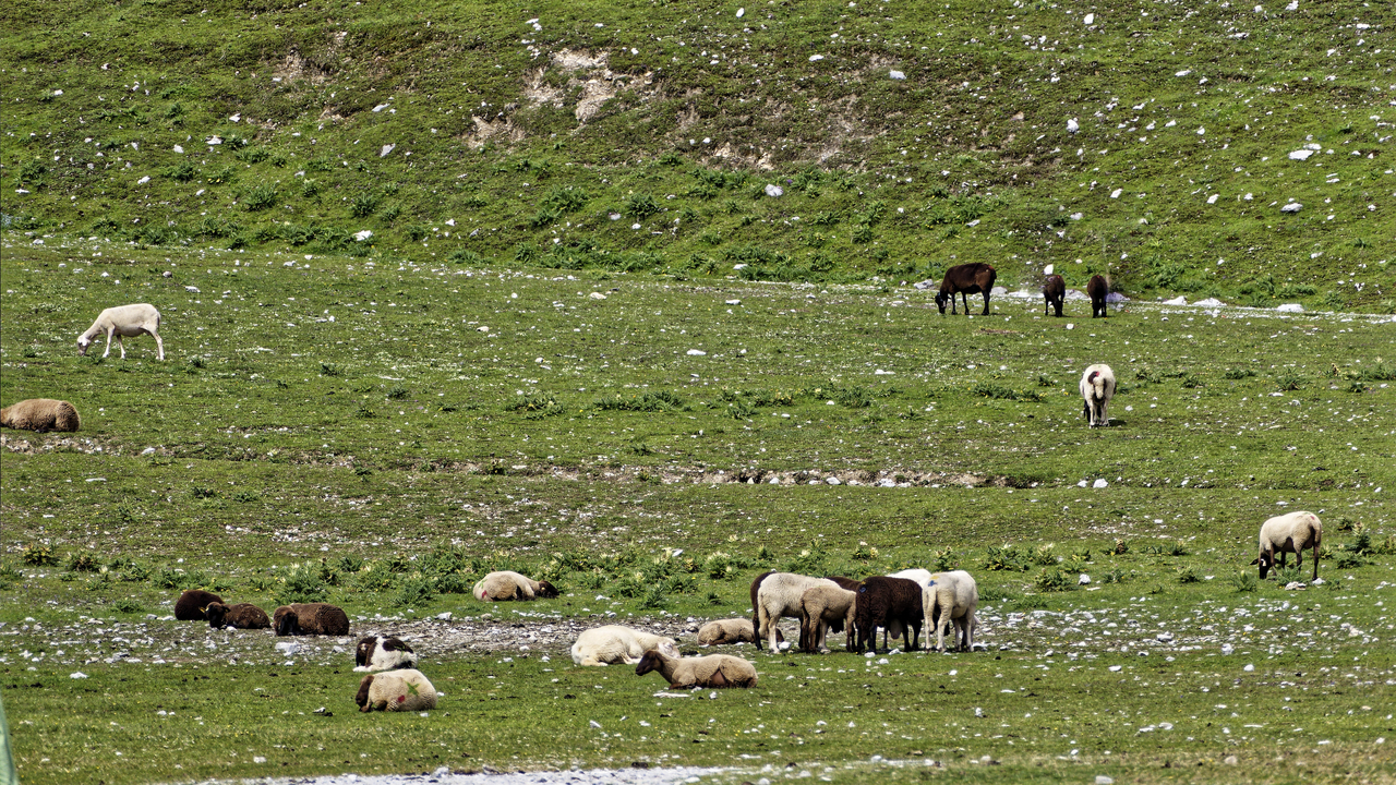 20240726 113717•Muhlau•Tyrol•Austria (1898.7 m)